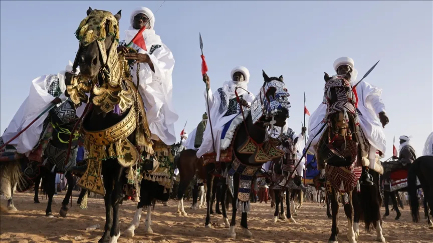 تنظيم مهرجان 