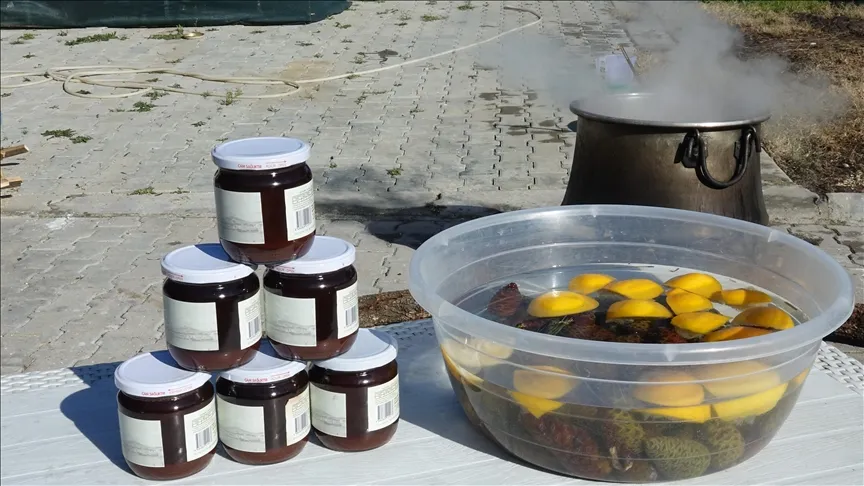 En Ayvalık, las piñas hervidas durante 8 horas en fuego de leña con el trabajo de las mujeres se convierten en sirope