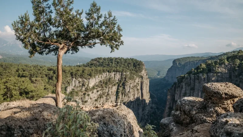 Два в Одном: Живописный Тазы Каньон и Веселый Рафтинг
